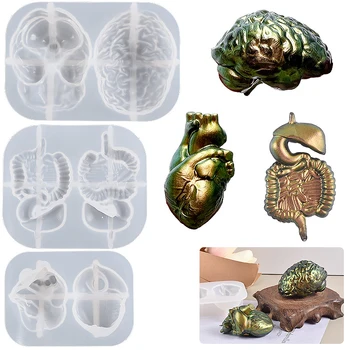 محاكاة وهمية القلب والدماغ والجهاز الهضمي شكل قالب سيليكون DIY الإنسان محاكاة أجزاء نموذج الحلي الراتنج العفن